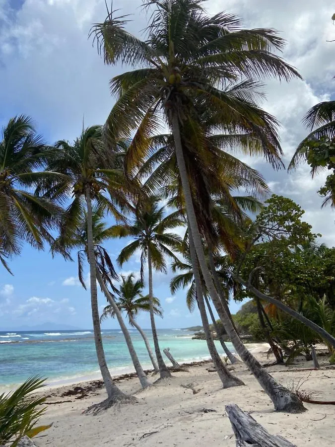 Gites Tit Anse, L Ile De Mathilde Capesterre Guadeloupe
