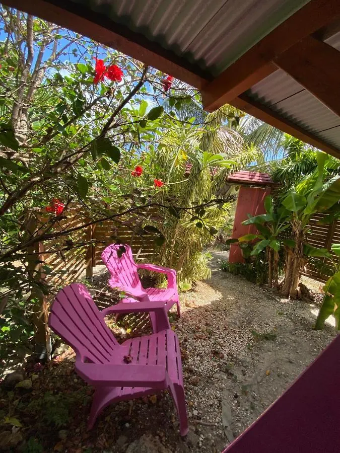Gites Tit Anse, L Ile De Mathilde Capesterre Holiday home